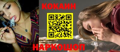 spice Гатчина