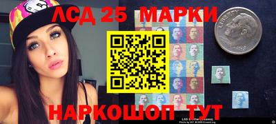 стаф Гай