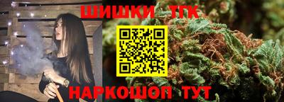 spice Гатчина