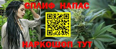 стаф Гай
