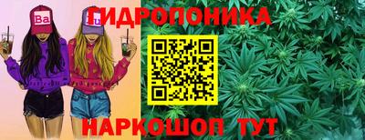 spice Гатчина