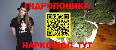 стаф Гай