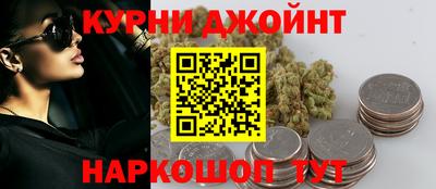 стаф Гай