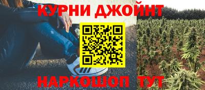 spice Гатчина