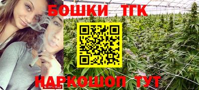 стаф Гай