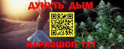 стаф Гай