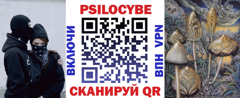наркошоп Амурск Галлюциногенные грибы Psilocybe
