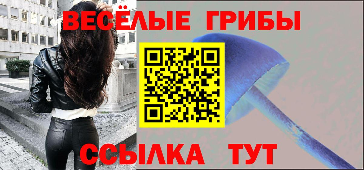 Амурск  Галлюциногенные грибы GOLDEN TEACHER  Вход с VPN  Галлюциногенные грибы Psilocybine cubensis 