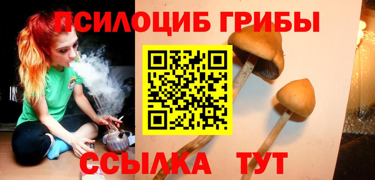 Псилоцибиновые грибы прущие грибы Амурск