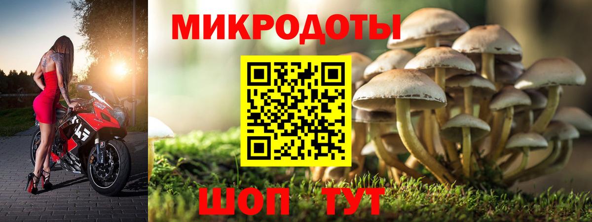 Псилоцибиновые грибы ЛСД  Псилоцибиновые грибы Magic Shrooms  Амурск  Вход с VPN 